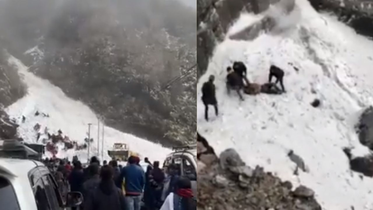 Sikkim Avalanche: শুধু হাত বেরিয়েছিল, দেখতে পেয়েই হ্যাঁচকা টান...সিকিমের তুষারধসে চাপা পড়েও 'দ্বিতীয় প্রাণ' পেলেন পর্যটকরা