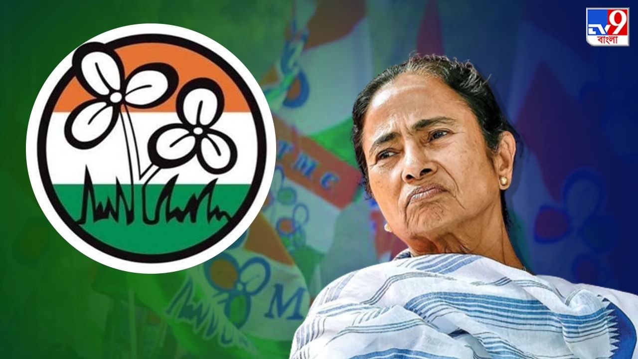 TMC: জাতীয় দলের তকমা হারিয়ে যে যে সমস্যা তৃণমূলের ‘দুয়ারে’