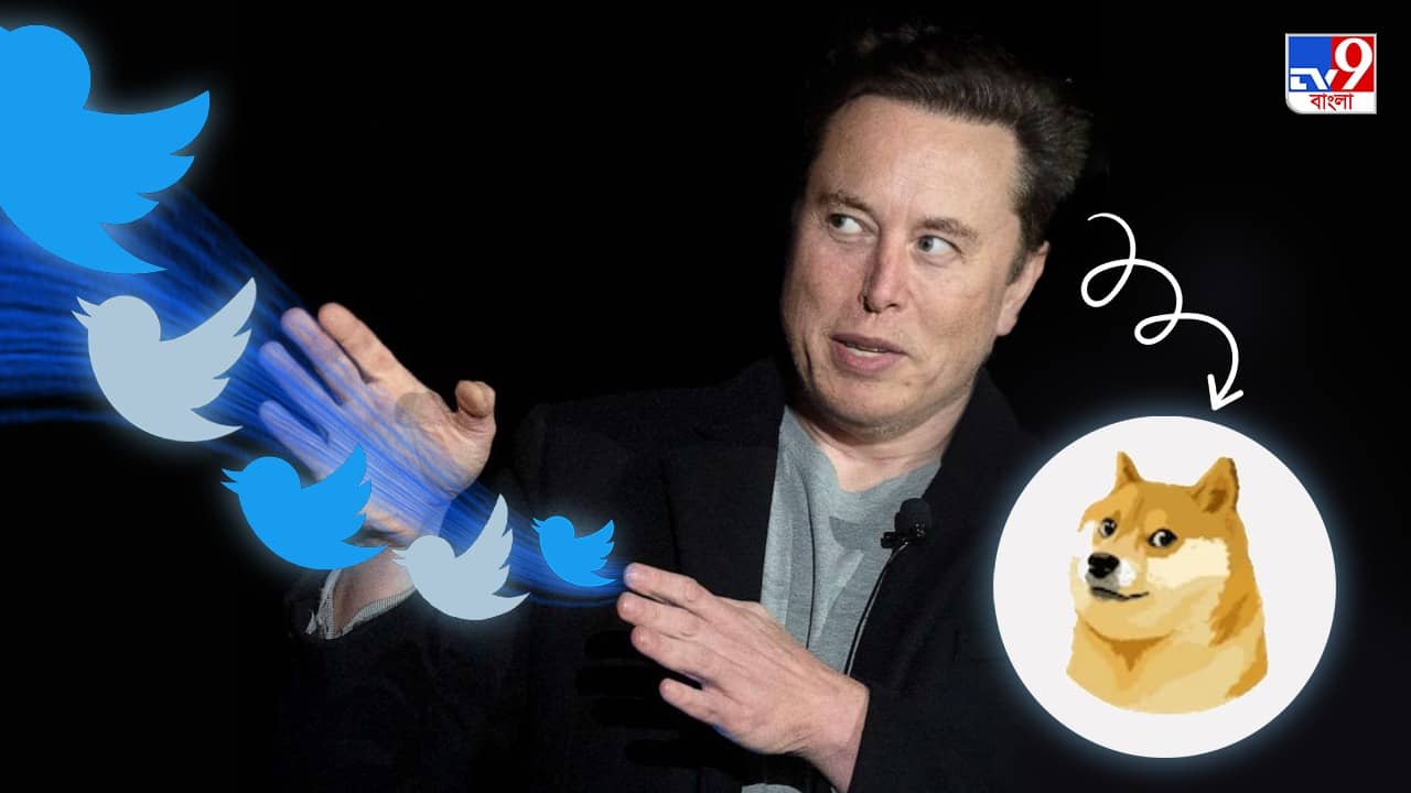 Doge Meme in Twitter Logo: যা পাখি উড়তে দিলাম  তোকে...টুইটারে কুকুরের মুখ বসালেন মাস্ক