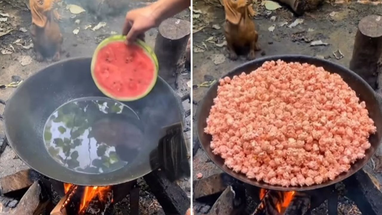 Viral Video ফুটন্ত গরম তেলে ফেলা হল একফালি তরমুজ, তারপর যে কাণ্ডটা ঘটল