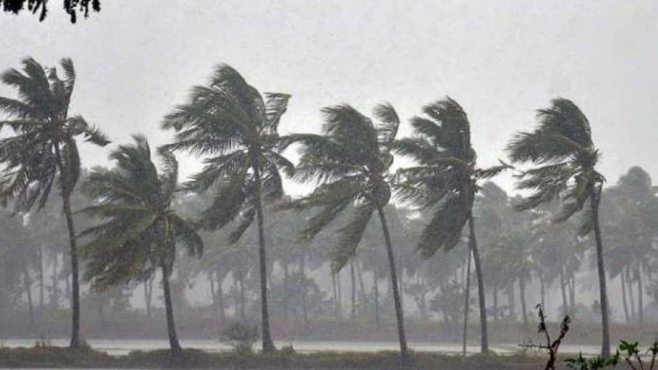 Weather Update: সোমে ৫০, মঙ্গলে ৪০ কিলোমিটার ঝোড়ো হাওয়া, হাওয়া অফিসের শনির বার্তা
