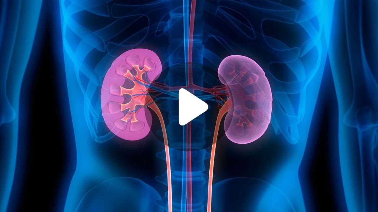 Kidney Problems: কেমন জলে সারবে কিডনির অসুখ?