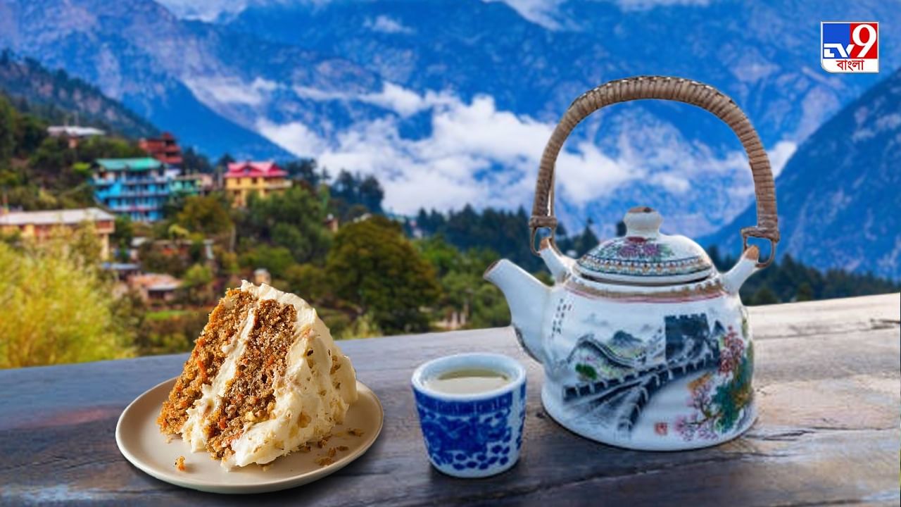 Cafes In Darjeeling: মেঘ-কুয়াশার টানে বারবার ছুটে তো যান, নিশ্চিন্তে চায়ের কাপে চুমুক দিতে পাহাড়ি এই ঠিকানাগুলো জানেন তো?