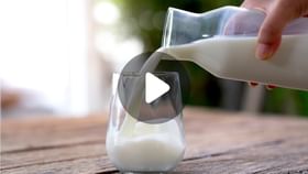 Amul Milk Price Hike: দুধ এবার আরও দামি! Amul Milk Price Hike: দুধ এবার আরও দামি!