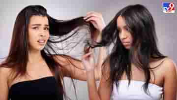 Hair Care: চাঁদি ফাটা রোদ্দুরে বাইরে বেরোলেই ঘামে চিটচিটে স্ক্যাল্প, শ্যাম্পু ছাড়াও কীভাবে নেবেন চুলের যত্ন?