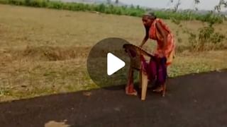 Elephant Girl Viral Video: নাচছে যুবতী নাচছে হাতিও