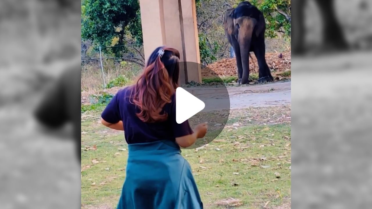 Elephant Girl Viral Video: নাচছে যুবতী নাচছে হাতিও