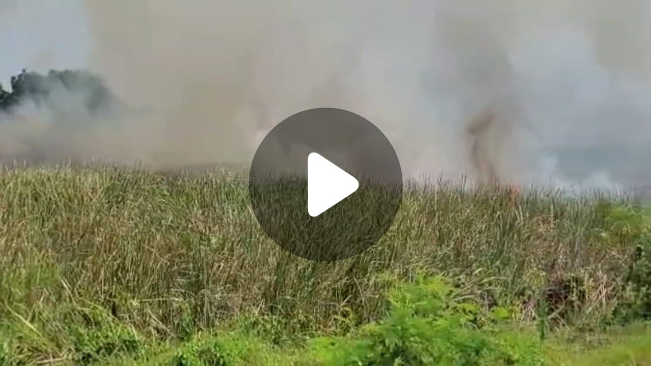 Panskura News: মনে হবে শ্যুটিং, আসলে চোর ধরা Panskura News: মনে হবে শ্যুটিং, আসলে চোর ধরা