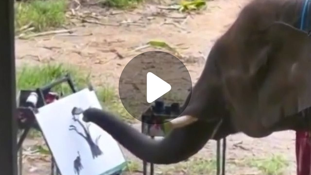 Elephant Viral Video: হাত নয়, শুঁড়েই তুলির টান!