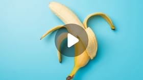 Banana Unknown Facts: আপনি কি কোনওদিনও সোজা কলা দেখেছেন? Banana Unknown Facts: আপনি কি কোনওদিনও সোজা কলা দেখেছেন?
