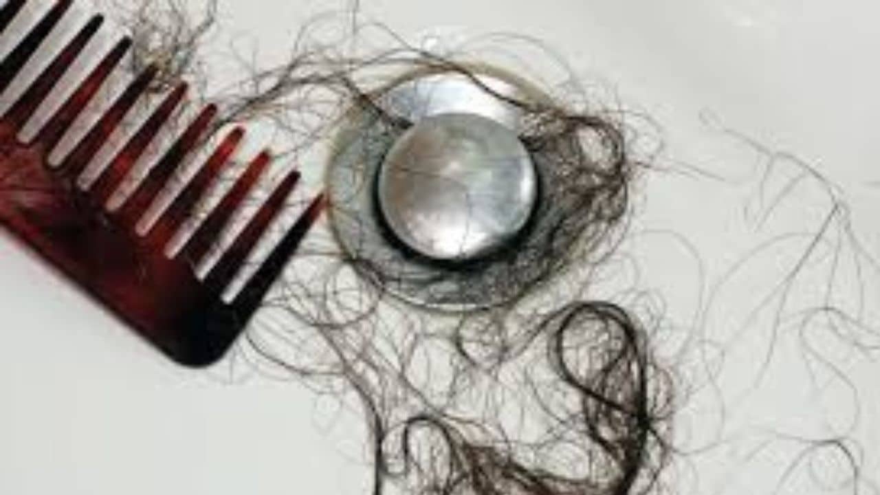 Vastu Tips: স্নানের পর বাথরুমের মেঝেতে ভর্তি চুল পড়ে থাকে! বাথরুমে বাস্তুত্রুটি থাকলেই অ্যাকাউন্ট হবে শূন্য