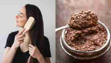 Flax Seeds for Hair: এভাবে ফ্ল্যাক্স সিড ব্যবহার করলে ৭ দিনে বন্ধ হবে চুল পড়া, আজই পরখ করে দেখুন