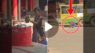 Viral Video: সাপের গালে বিড়ালের থাপ্পড়!