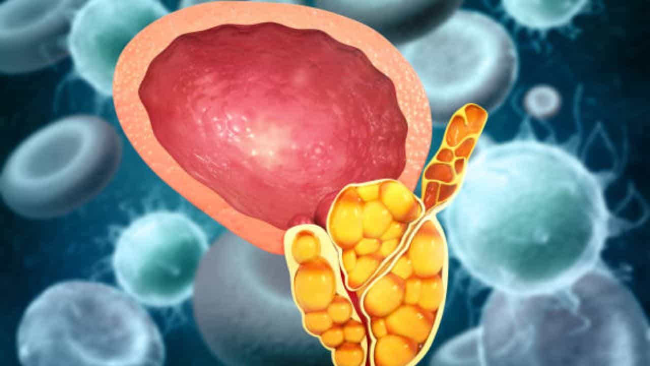 Natural Remedies For Gallstones: পিত্তথলি থেকে পাথর বের করে দিতে এই সব ঘরোয়া খাবার একাই একশো, খেলেই উপকার Natural Remedies For Gallstones: পিত্তথলি থেকে পাথর বের করে দিতে এই সব ঘরোয়া খাবার একাই একশো, খেলেই উপকার