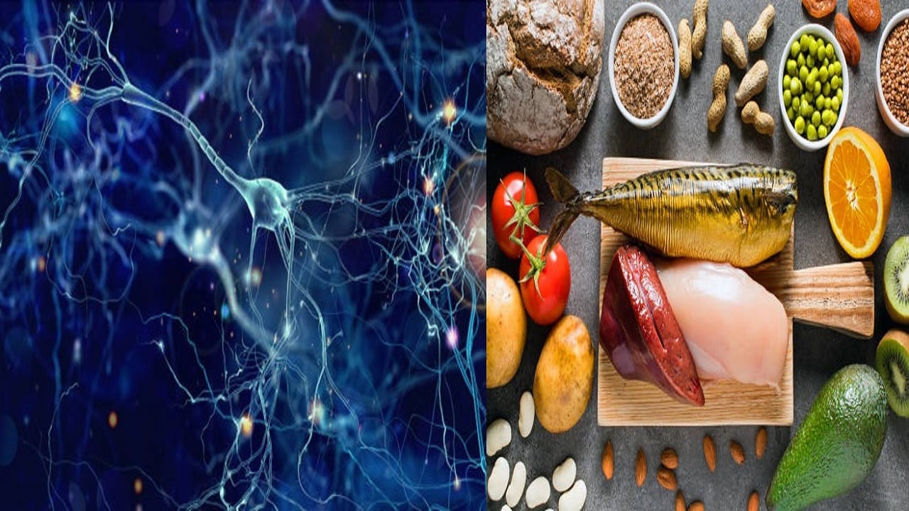 Vitamins For Strong Nerves: এই ৫ ভিটামিন স্নায়ুকে শক্তিশালী করে, যে কোনও রোগই গোড়া থেকে নির্মূল করে Vitamins For Strong Nerves: এই ৫ ভিটামিন স্নায়ুকে শক্তিশালী করে, যে কোনও রোগই গোড়া থেকে নির্মূল করে