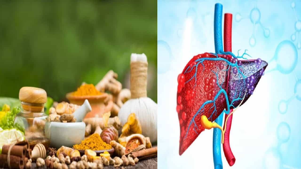 Liver Cleansing Herbs: এই ৫ আয়ুর্বেদিক ভেষজ লিভার থেকে যাবতীয় টক্সিন টেনে বের করে দেবে, দূর হবে কঠিন রোগও Liver Cleansing Herbs: এই ৫ আয়ুর্বেদিক ভেষজ লিভার থেকে যাবতীয় টক্সিন টেনে বের করে দেবে, দূর হবে কঠিন রোগও