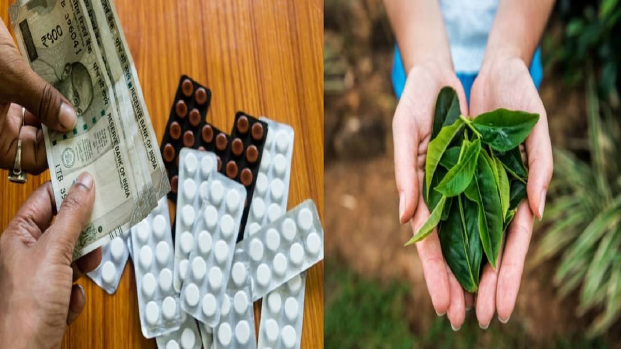 Fever Herbal Medicine: দাম বেড়েছে জ্বরের ওষুধের, ৪ এই ঘরোয়া টোটকায় বিনামূল্যেই চিকিৎসা করুন