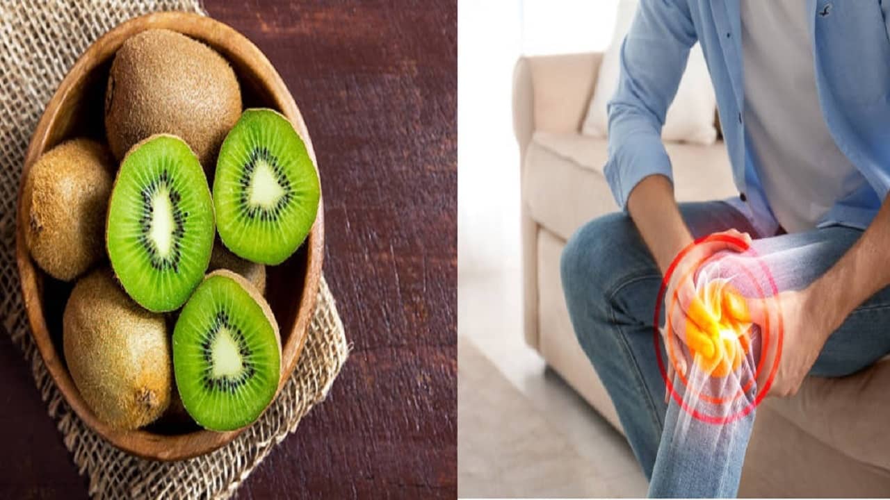 Vitamin E Deficiency:  ক্লান্ত মনে হচ্ছে, কাজ করতে জোর পাচ্ছেন না? আজ থেকেই খাওয়া শুরু করুন এই সব খাবার