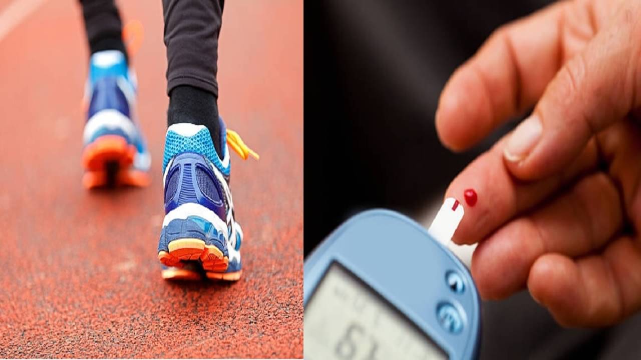 Brisk Walking: ১০ দিনের মধ্যে ওজন তো কমবেই, ব্লাড সুগার থেকে প্রেশার সবই কমবে এই ওয়াকিং এর গুণে