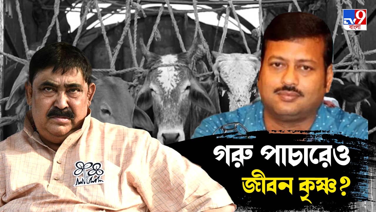 Jiban Krishna Saha: গরু পাচারেও জীবন যোগ? অনুব্রতের গ্রেফতারির পর থেকেই সিবিআই ব়্যাডারে বড়ঞার বিধায়ক