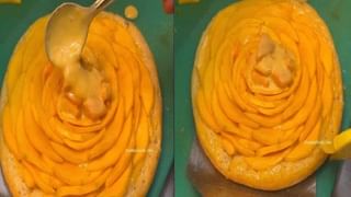 Viral Video: গর্তে পড়া শাবককে স্তন্যপান করাতে গিয়ে নিঃশ্বাস বন্ধ মা হাতির, শেষে হল আসল চমৎকার!