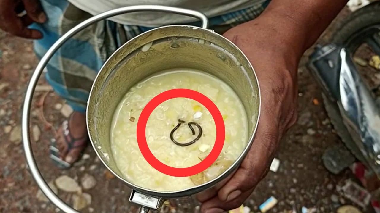 Mid Day Meal: আবারও মিড ডে মিলে সাপ! ব্যাঙ, আরশোলা, টিকটিকি আর কত খাবে পড়ুয়ারা?