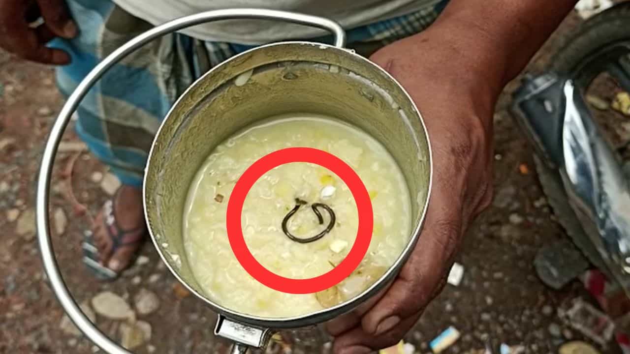 Mid Day Meal: আবারও মিড ডে মিলে সাপ! ব্যাঙ, আরশোলা, টিকটিকি আর কত খাবে পড়ুয়ারা?