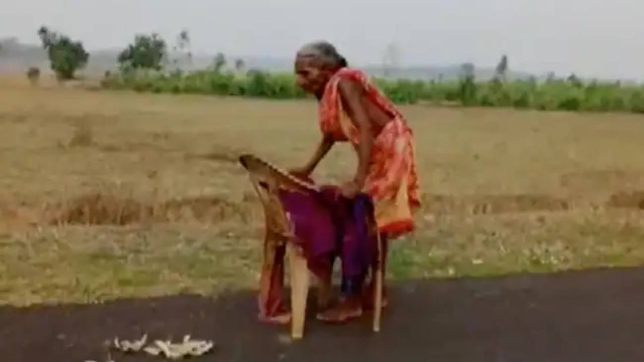 ভিডিয়ো: ভাঙা চেয়ারই ভরসা! পেনশন তুলতে তপ্ত দুপুরে খালি পায়ে যাচ্ছেন শীর্ণকায় বৃদ্ধা