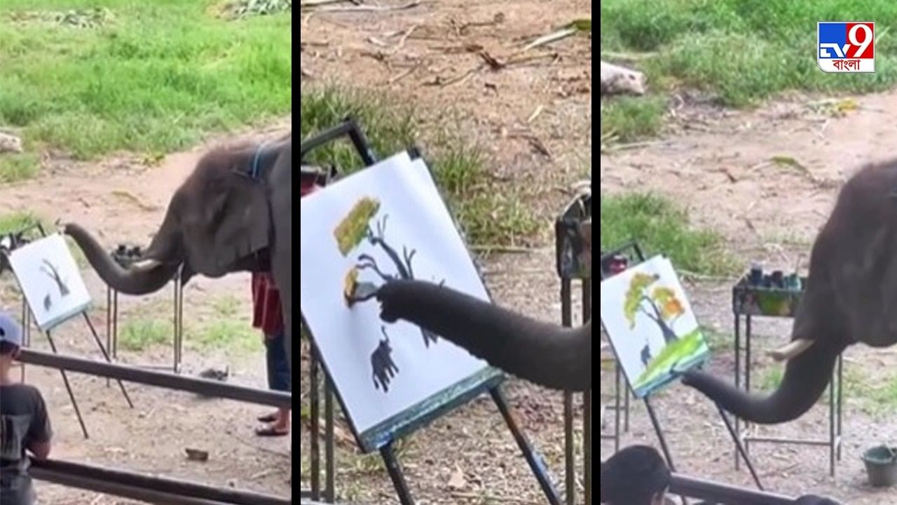 Viral Video   Paint 