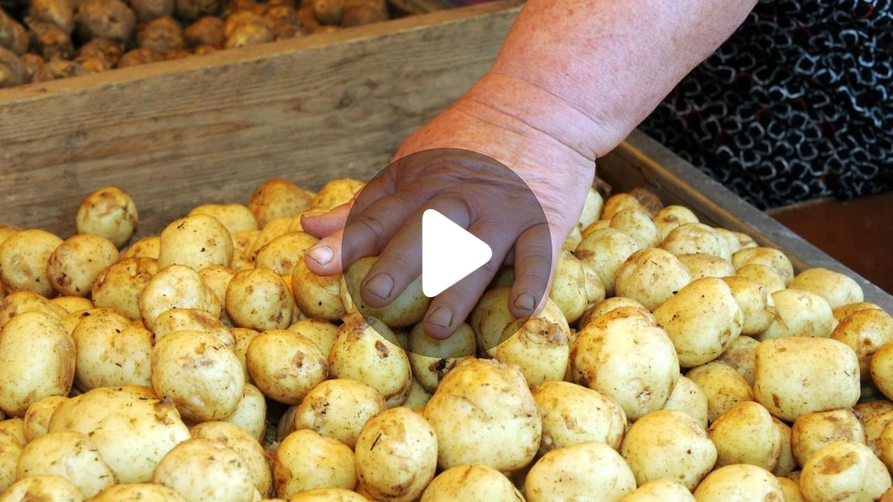 Expensive Potato: ১ কেজি আলুর দাম ৫০ হাজার টাকা!