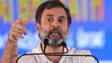 Rahul Gandhi: বিজেপির অনেক টাকা, চুরি করে নিতে পারে..., কী চুরি যাওয়ার চিন্তায় ঘুম উড়েছে রাহুলের?