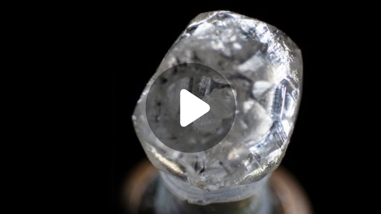 Rare Diamond: সুরাটে হিরের পেটে বিরল হিরে