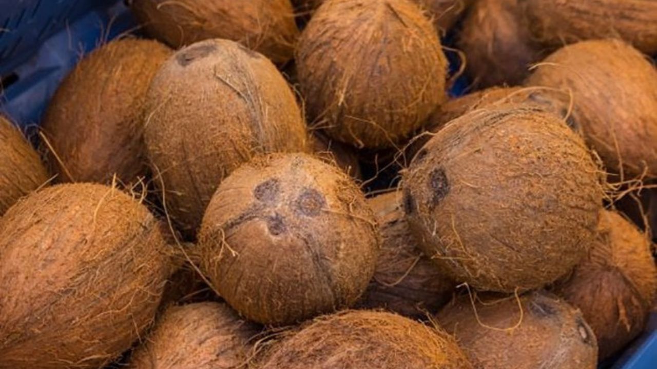 এরপর একটি লাল রঙের কাপড়ে একটি নারকেল বেঁধে রাখুন। এই নারকেল ঘরে এমন জায়গায় রাখুন। যেখানে কেউ দেখতে পাবে না। এই প্রতিকার করলে অর্থনৈতিক সমস্যা দূর হয়ে যায়।