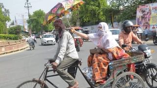 Viral Video: সার্কাসের নেট থেকে বাইরে বেরিয়ে গেল দুই বিশাল সিংহ, তারপর যা কাণ্ড হল…