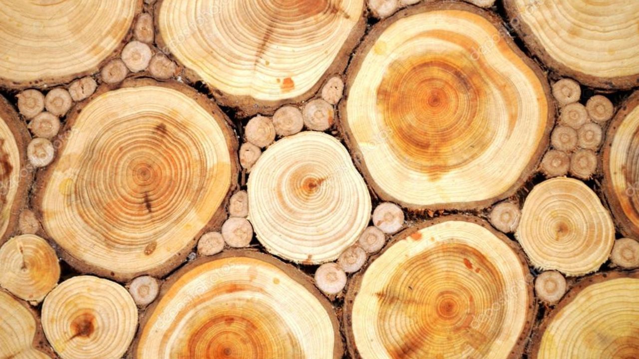 হিন্দুধর্মে পুজোকর্মে চন্দন কাঠের ব্যবহার বহু প্রচলিত। যে কোনও পুজোয় চন্দনের বিশেষ ব্যবহার করা হয়। চন্দনের প্রলেপ বা মালার ব্যবহার হিন্দু ধর্মে বেশ পরিচিত। সাধারণত, বিষ্ণু ও কৃষ্ণের আরাধনায় চন্দনের  ব্যবহার করতে দেখা যায়।