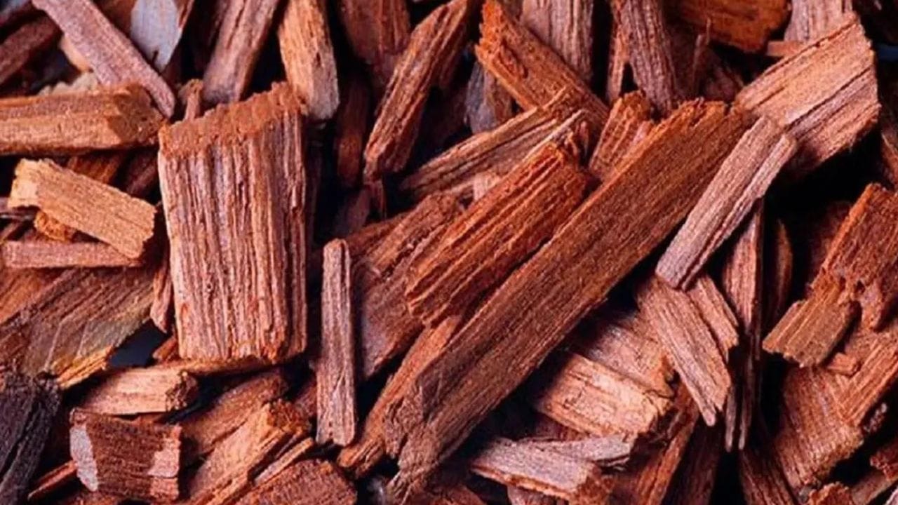 জ্যোতিষশাস্ত্র অনুসারে, বাড়িতে কোনও না কোনও সমস্যা থাকলে গুরু পুষ্য নক্ষত্রের একদিন আগে চন্দন গাছের মূলে সিঁদুর, হলুদ চাল, জল অর্পণ করুন। দ্বিতীয় দিন অর্থাত গুরু পুষ্য নক্ষত্রের দিন চন্দন গাছের সামান্য কাঠ এনে একটি লাল কাপড়ে বেঁধে বাড়ির প্রধান ফটকে ঝুলিয়ে দিন। এতে করে ঘরে সুখ ও সমৃদ্ধি ফিরে আসবে। ইতিবাচক শক্তির যোগাযোগ অব্যাহত থাকবে।