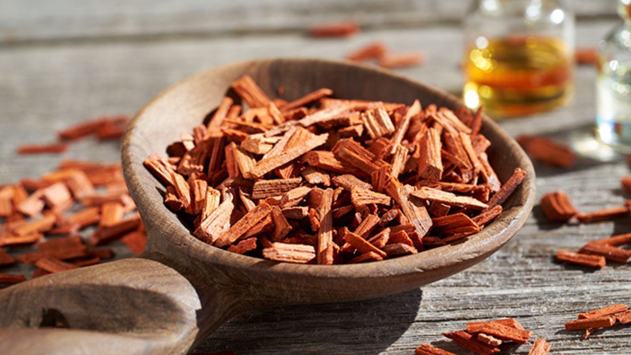 Sandalwood Remedies: বাড়িতে চন্দন কাঠ আছে? এই টোটকায় স্বাস্থ্য তো ভালো  যাবেই, অর্থ-শস্যেরও অভাব হবে না কখনও - Bengali News | Try the miraculous  remedies of sandalwood to gain ...