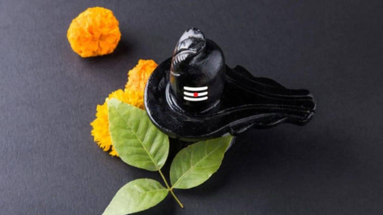 Nil Sashti 2023: নীলষষ্ঠী কেন পালন করা হয়? এদিন শিবের পুজো করার মূল অর্থ কী?