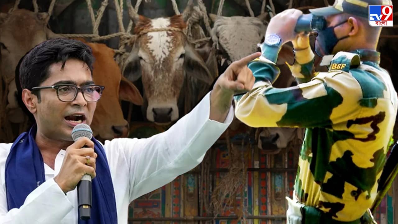 Abhishek Banerjee attacks BSF: গরু চুরির জন্য বিএসএফ প্রত্যক্ষ ও পরোক্ষভাবে দায়ী : অভিষেক