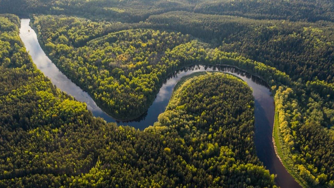 Amazon Jungle: বিমান দুর্ঘটনার দু-সপ্তাহ পর অ্যামাজনের জঙ্গল থেকে উদ্ধার একরত্তি সহ ৪ শিশু