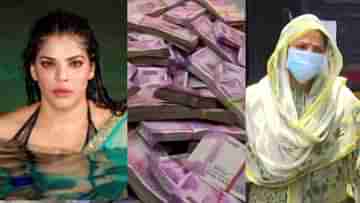 Arpita Mukherjee: ধোপে টিকল না ভিক্টিম কার্ড! কোন যুক্তিতে অর্পিতার জামিনের আর্জি খারিজ?