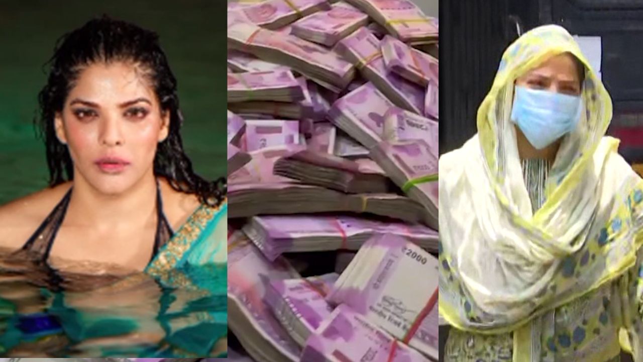 Arpita Mukherjee: ধোপে টিকল না 'ভিক্টিম কার্ড'! কোন যুক্তিতে অর্পিতার জামিনের আর্জি খারিজ?