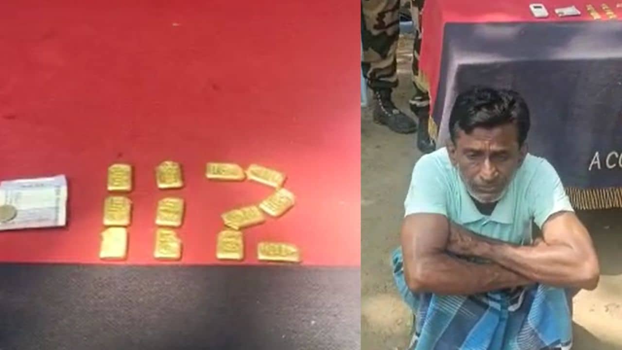Gold Smuggling: মলদ্বারের ভিতরে লুকানো এক ডজন সোনার বিস্কুট, পাচারের আগেই ধরে ফেলল BSF