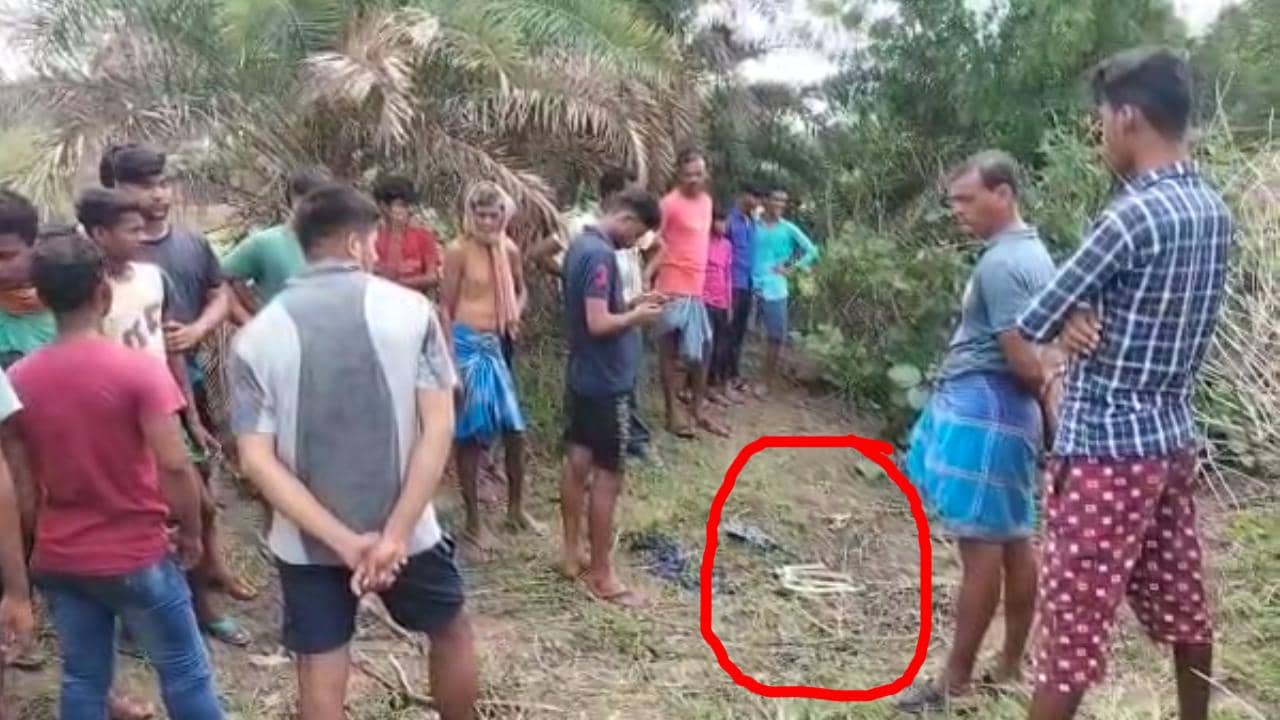 Bankura: পুকুরপাড়ে পড়ে আছে আস্ত কঙ্কাল, ‘ওটা আমার বাবা’, কাঁদতে কাঁদতে ছুটে এল ছেলে