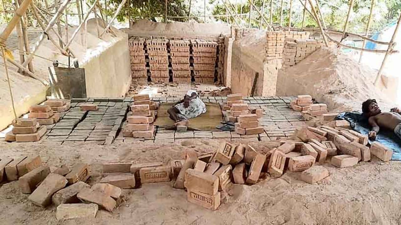 Bankura: রাতে ইট পাচার, যৌথ অভিযান পরিবহন ও ভূমি রাজস্ব দফতরের