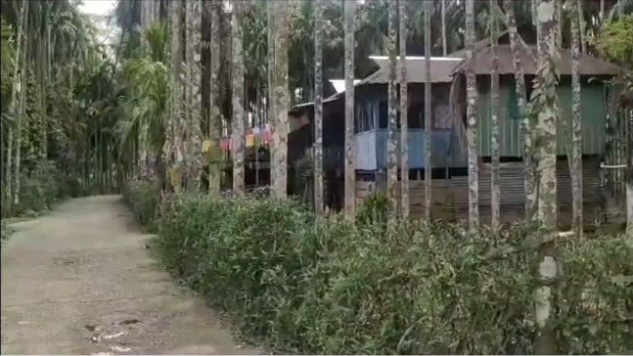 Buxa Tiger Reserve: ৪ বছরে না এল বাঘ, না মিলল অনুদান, আশঙ্কায় দিন কাটছে বক্সা ব্যাঘ্র প্রকল্পের দুই বনবস্তির মানুষের