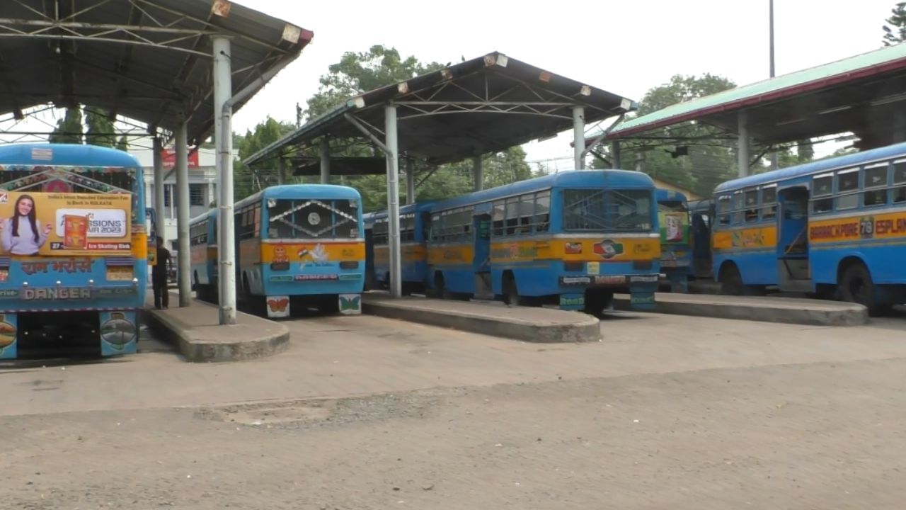 BUS: কমছে সংখ্যা, কেন 'অবলুপ্ত' হচ্ছে একের পর এক বেসরকারি বাস?