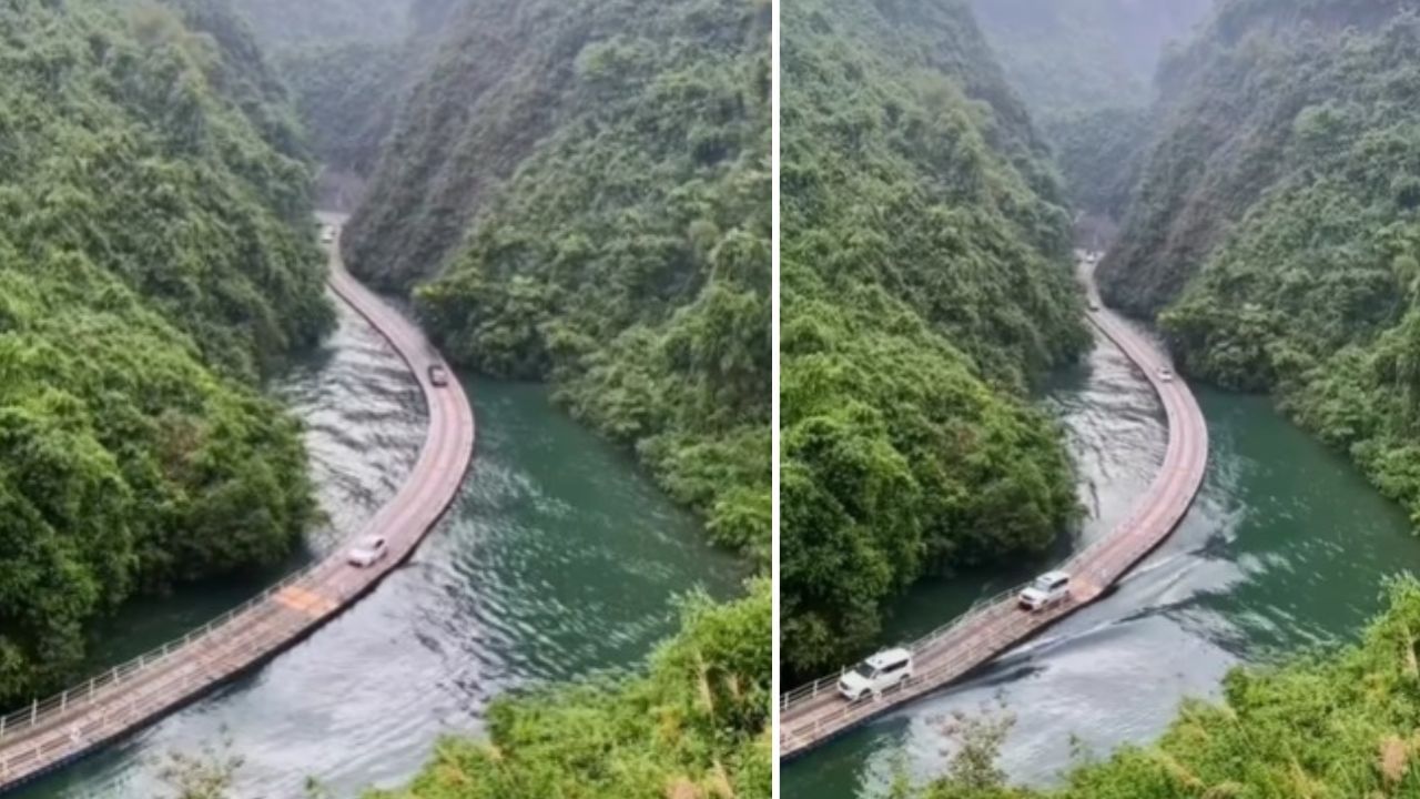 Viral Video: নদীর জল ছুঁয়ে ভাসমান রাস্তা, তার উপর দিয়ে যায় সারি সারি গাড়ি, চিনের 'স্বপ্নের সেতু' দেখে নেটিজ়েনরা অবাক