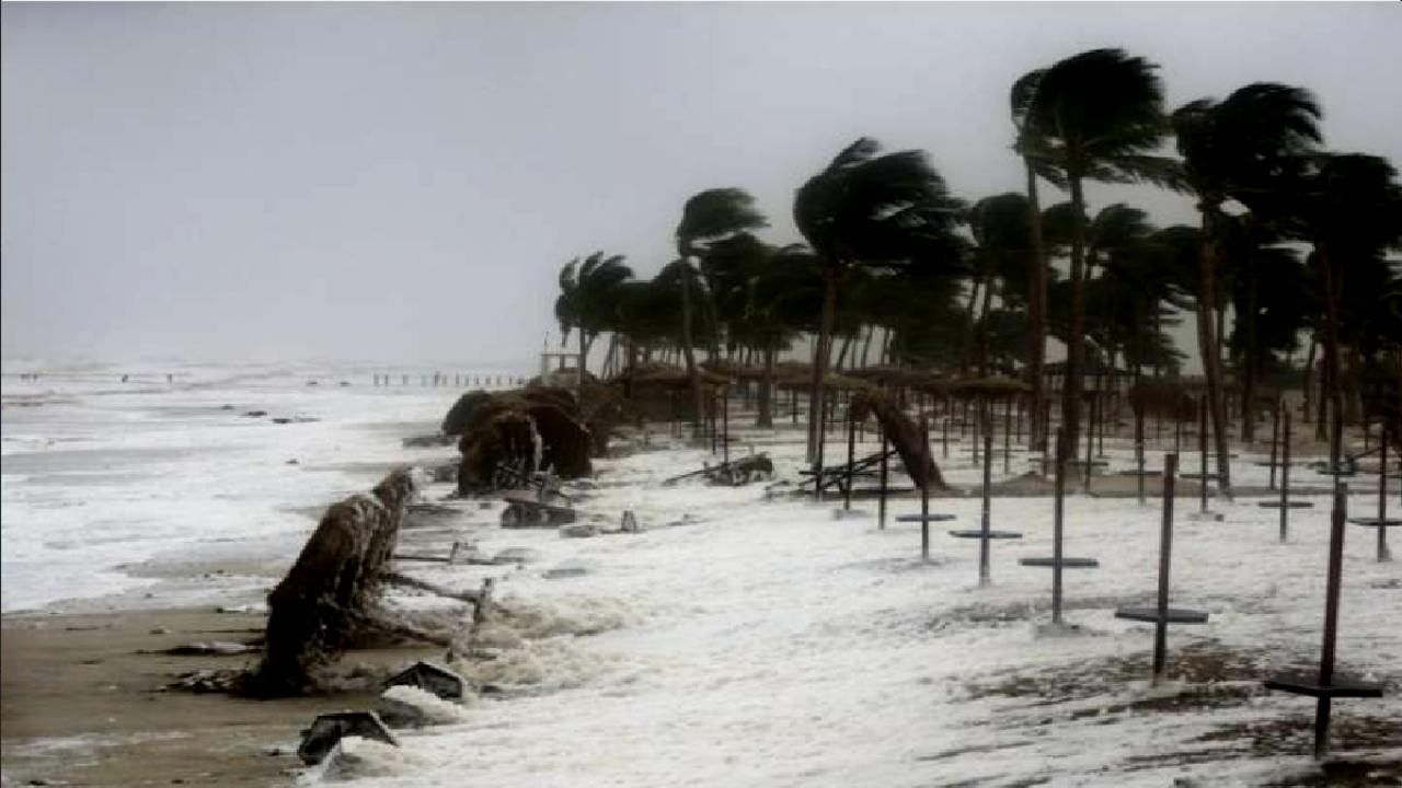 Cyclone Mokha in Bangladesh: রবিতেই কক্সবাজারে আছড়ে পড়তে চলেছে মোখা, সরানো হল ১০ লাখ মানুষকে