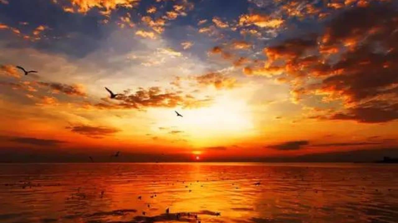 Evening Vastu Tips: সূর্যাস্তের পর ভুলেও এই কাজ নয়! সমস্যার ঝড়ে টালমাটাল হতে পারে জীবন